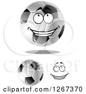 Poster, Art Print Of Grayscale Soccer Balls