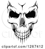 Poster, Art Print Of Black And White Human Skull With An Evil Expression