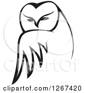 Poster, Art Print Of Black And White Owl Looking Over Its Wing