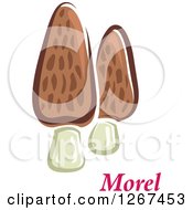 Clipart Of Morel Mushrooms And Text Royalty Free Vector Illustration by Vector Tradition SM
