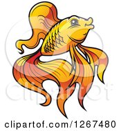 Cartoon Fancy Goldfish In Profile