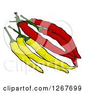 Clipart Of Long Red And Yellow Chili Peppers Royalty Free Vector Illustration