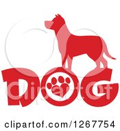 Poster, Art Print Of Red Silhouetted Canine Over Dog Text With A Heart Shaped Paw Print In The Letter O