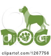 Poster, Art Print Of Green Silhouetted Canine Over Dog Text With A Heart Shaped Paw Print In The Letter O