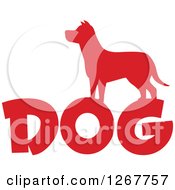 Poster, Art Print Of Red Silhouetted Dog Over Text