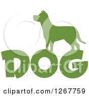 Green Silhouetted Dog Over Text