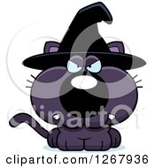 Poster, Art Print Of Angry Purple Halloween Witch Cat