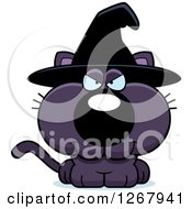 Poster, Art Print Of Sly Purple Halloween Witch Cat