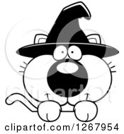 Poster, Art Print Of Black And White Happy Halloween Witch Cat Over A Sign