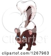Clipart Of A Cute Blue Eyed Skunk Royalty Free Vector Illustration