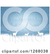Poster, Art Print Of Background Of White Silhouetted Alert Deer In The Snow Against Trees