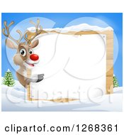 Poster, Art Print Of Rudolph Red Nosed Reindeer Pointing Around A Wood Sign In The Snow Against Blue Sky