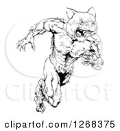 Poster, Art Print Of Black And White Angry Muscular Wildcat Mascot Running Upright