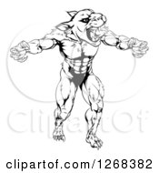 Poster, Art Print Of Muscular Panther Man Mascot Attacking