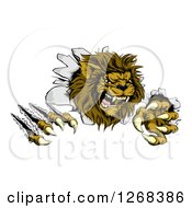 Roaring Lion Mascot Shredding Through A Wall