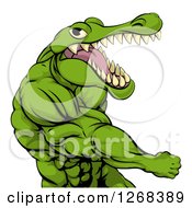 Clipart Of A Mad Muscular Crocodile Or Alligator Man Punching Royalty Free Vector Illustration by AtStockIllustration