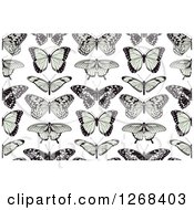 Poster, Art Print Of Seamless Background Pattern Of Black And Green Butterflies On White