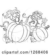 Clipart Of A Black And White Pumpkin Vine Royalty Free Vector Illustration