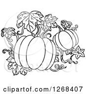 Clipart Of Black And White Pumpkins On A Vine Royalty Free Vector Illustration
