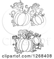 Clipart Of Black And White Pumpkin Vines Royalty Free Vector Illustration