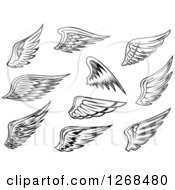 Clipart Of Black And White Feathered Wings Royalty Free Vector Illustration
