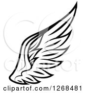 Poster, Art Print Of Black And White Feathered Wing