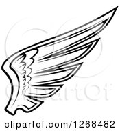 Clipart Of A Black And White Feathered Wing 10 Royalty Free Vector Illustration