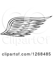 Black And White Feathered Wing 4