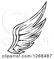 Poster, Art Print Of Black And White Feathered Wing 6