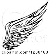 Clipart Of A Black And White Feathered Wing 7 Royalty Free Vector Illustration