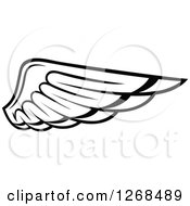 Clipart Of A Black And White Feathered Wing 8 Royalty Free Vector Illustration