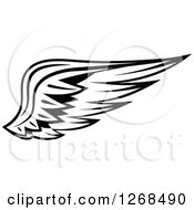 Clipart Of A Black And White Feathered Wing 9 Royalty Free Vector Illustration