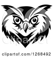 Poster, Art Print Of Black And White Owl Face