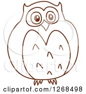 Poster, Art Print Of Sketched Brown Owl