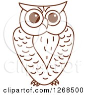 Poster, Art Print Of Sketched Brown Owl 3