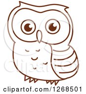 Poster, Art Print Of Sketched Brown Owl 4