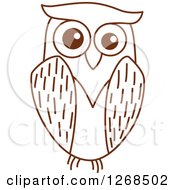 Poster, Art Print Of Sketched Brown Owl 5