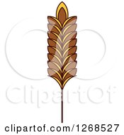 Poster, Art Print Of Wheat Stalk 2