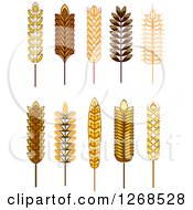 Poster, Art Print Of Wheat Stalks