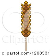 Clipart Of A Wheat Stalk 6 Royalty Free Vector Illustration by Vector Tradition SM