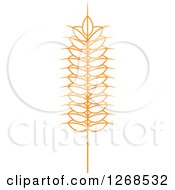Clipart Of A Wheat Stalk 5 Royalty Free Vector Illustration by Vector Tradition SM