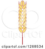 Poster, Art Print Of Wheat Stalk 3