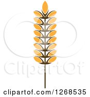 Clipart Of A Wheat Stalk 7 Royalty Free Vector Illustration