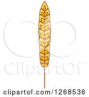 Clipart Of A Wheat Stalk 8 Royalty Free Vector Illustration by Vector Tradition SM