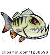 Red Eyed Green Piranha Fish