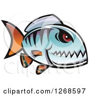 Red Eyed Blue Piranha Fish