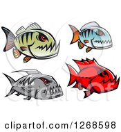 Poster, Art Print Of Red Eyed Piranha Fish