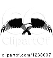 Black And White Bald Eagle In Flight 2