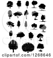 Clipart Of Black Silhouetted Trees Royalty Free Vector Illustration