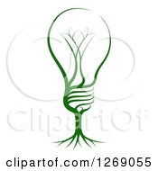 Green Light Bulb With Tree Roots